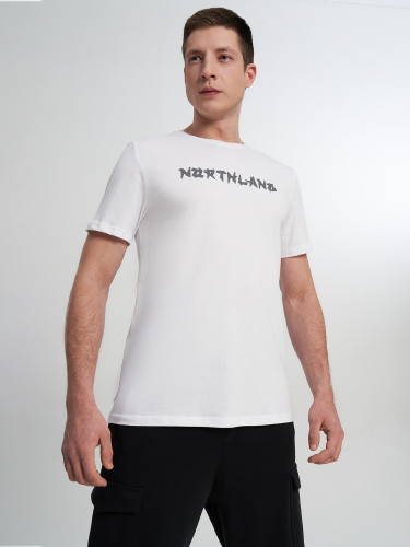 Футболка мужская