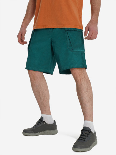 Шорты мужские