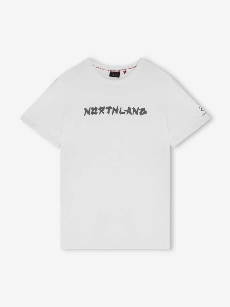 Футболка мужская