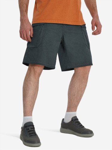 Шорты мужские